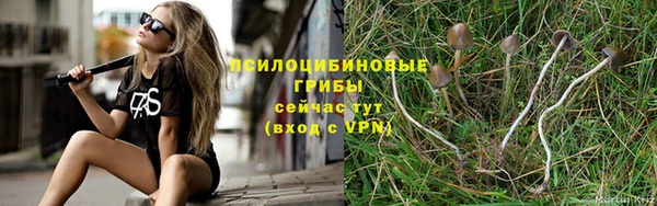 амфетамин Новозыбков
