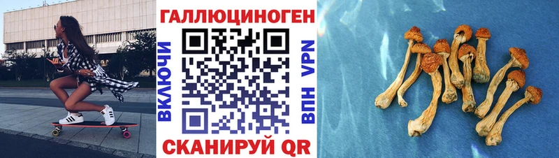 hydra зеркало  Тотьма  Галлюциногенные грибы Psilocybe 